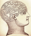Image 2William A. F. Browne was an influential reformer of the lunatic asylum in the mid-19th century, and an advocate of the new 'science' of phrenology. (from History of psychiatry)