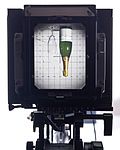 Viewing through a Sinar F camera