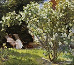 Rozen, Krøyer