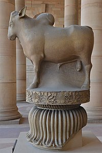 Rampurva bull, in profile