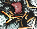 Color-enhanced scanning electron micrograph shows splenic tissue from a monkey with inhalational anthrax; featured are rod-shaped bacilli (yellow) and an erythrocyte (red)