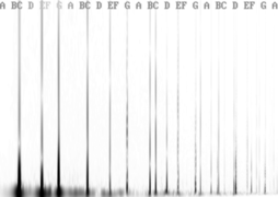 Variable-Q transform spectrogram of a piano chord (generated using FFmpeg's showcqt filter).