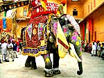 Måla og pynta elefant i Rajasthan.