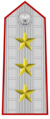 Controspallina di Generale d'esercito (1908-1923)