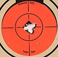 Bersaglio del fucile Savage 10FP in .223 Remington con proiettile Sierra Matchking da 69 grani - 5 colpi a 100 iarde.