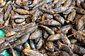 Smoked freshwater fish (Manipur)