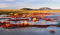 Panorama da reserva da biosfera da depressão de Ubsunur, Tuva.