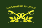 Gendarmeria flag