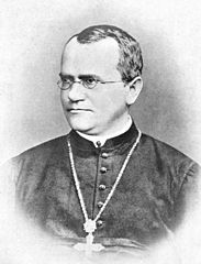 גרגור מנדל, כומר קתולי המכונה גם "אבי הגנטיקה"