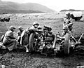 Image 20US Army training in Iceland in June 1943. (from History of Iceland)