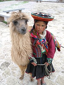 O fata din Peru cu o llama
