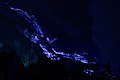 Image 94Blue lava of Ijen crater, East Java (from Tourism in Indonesia)