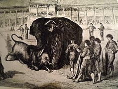 Combat entre un toro i un elefant, de Gustave Doré