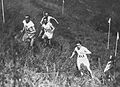 Image 12Edvin Wide, Ville Ritola, and Paavo Nurmi (on left) competing in the individual cross country race at the 1924 Summer Olympics in Paris; due to the hot weather, which exceeded 40 °C (104 °F), only 15 out of 38 competitors finished the race. (from Cross country running)