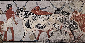 Рисунок скотоводства из гробницы, XVIII династия