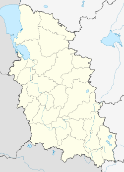 Novosokoļņiki (Pleskavas apgabals)