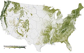 Карта лісової біомаси США, 2011 рік