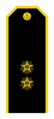 Rusijos Federacijos karinio jūrų laivyno viceadmirolo antpetis