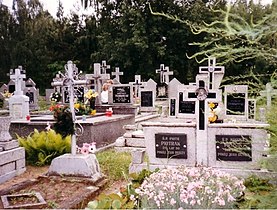 A village cemetery in Jednorożec, Poland.
