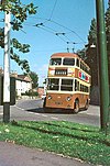 Maidstone trolleybus, September 1966.