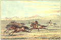 Comanches capturing wild horses with lassos, approximately July 16, 1834.