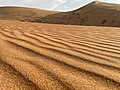 Woestijn in de Vereênigde Araobische Emiraoten