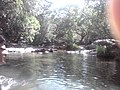nisargadhama river