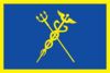דגל סטרוגינו