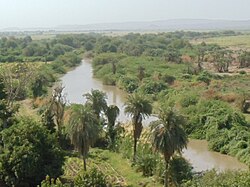 Реката в долното течение, в близост до оазиса Асаит