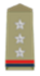 Inspector Rank Insignia Indian police