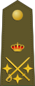Teniente General
