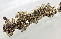 Image: Stronsium mengambang pada minyak parafin