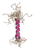 NMR structure of part of the agnoprotein