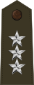 Lieutenant general[56] (Angkatan Darat Amerika Serikat)