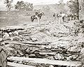 Dead Confederates in the "Bloody Lane" road.