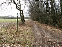 Path with a field on the left and woods on the right.
