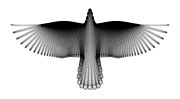 A Bird in Flight, by Hamid Naderi Yeganeh, 2016, constructed with a family of mathematical curves.