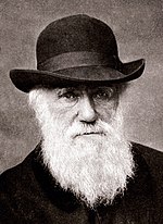 A photograph of Charles Darwin
