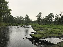 A picture of a small lake