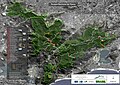 letecký snímek a mapa parku