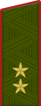 Insigne de lieutenant-général (uniforme de terrain de l'Armée de terre).