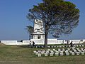 El llamado "Pino Solitario" (Lone Pine)[54]​ ante el cementerio y monumento a los caídos en la batalla del Pino Solitario (Gallípoli).[55]​