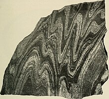 Gesägtes und angeschliffenes Stück des Fordham Gneiss mit Kleinfalten