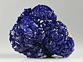 Image 40Azurite, by Iifar (from Wikipedia:Featured pictures/Sciences/Geology)