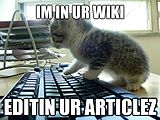 Wikicat-keyboard.jpeg