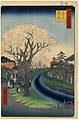 Image 51A section of the Tamagawa Josui in an 1856 painting by Hiroshige (from History of Tokyo)