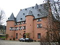 Burg Waldmannshausen in Elbtal