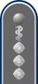 Dienstgradabzeichen eines Stabsarztes (Approbation für Humanmedizin) der Sanitätstruppe auf der Schulterklappe der Jacke des Dienstanzuges für Heeresuniformträger