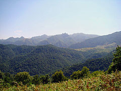Selva de Laton en Guilán