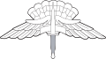 Freefall Parachutist Badges (Basic and Master)